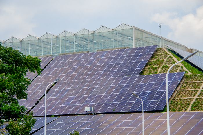 �H�W�������l(xi��ng)�������L�l(xi��ng)�ӣ�Ӱ����顱 ���˹������c���l(xi��ng)�����d·