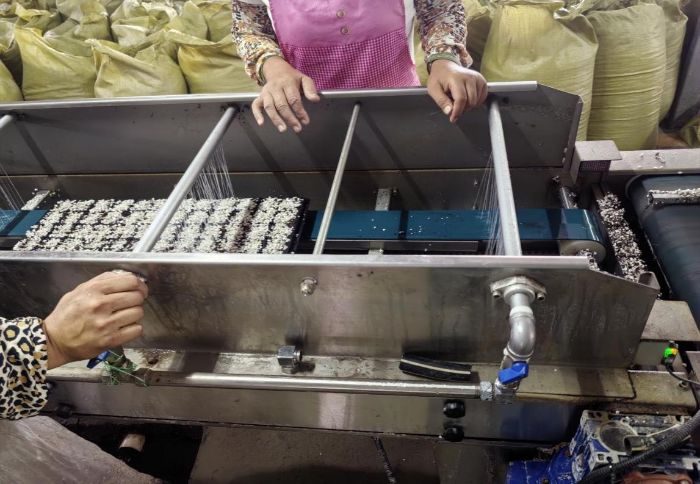 ɽ�|�W�������l��̽����������������Ƽ��x���l�����d�D��