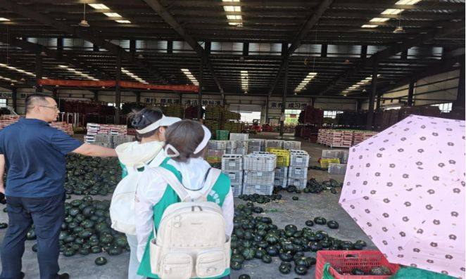 ɽ�|�W(xu��)�������l(xi��ng)������x������·����(sh��)�`̽�L�����d