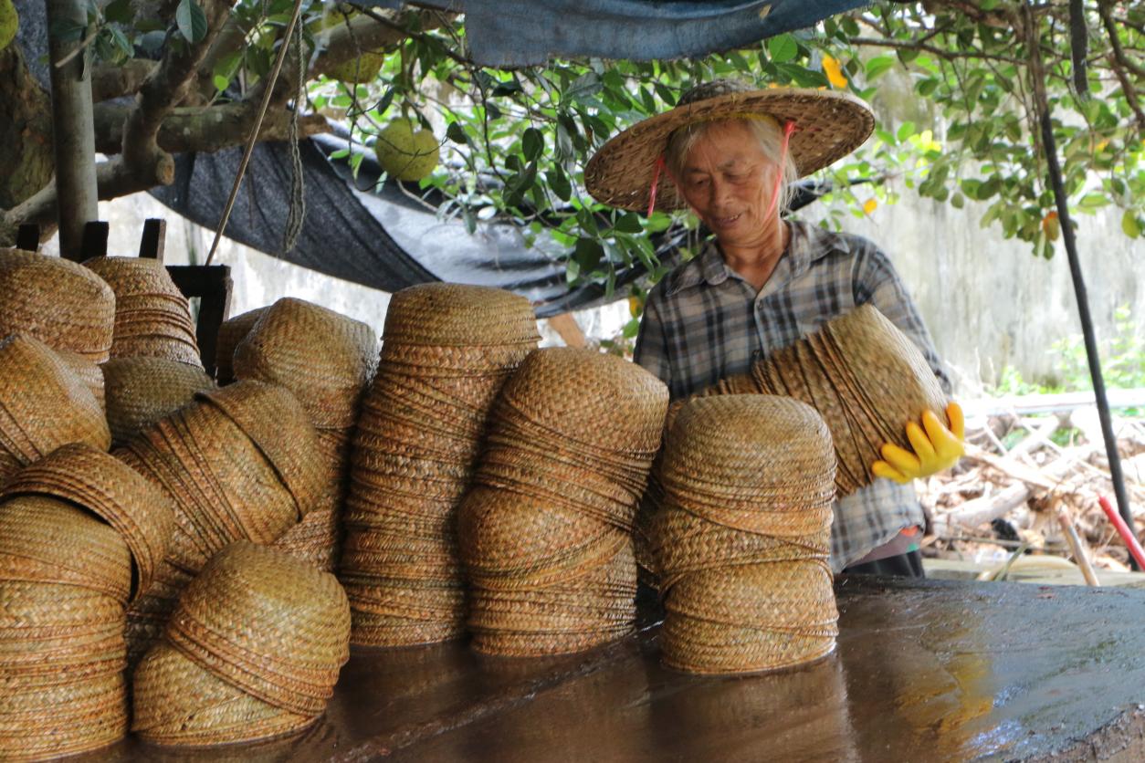 տ�ƌW(xu��)�ӡ������l(xi��ng)�������ո��s����ˇ�ʈ@