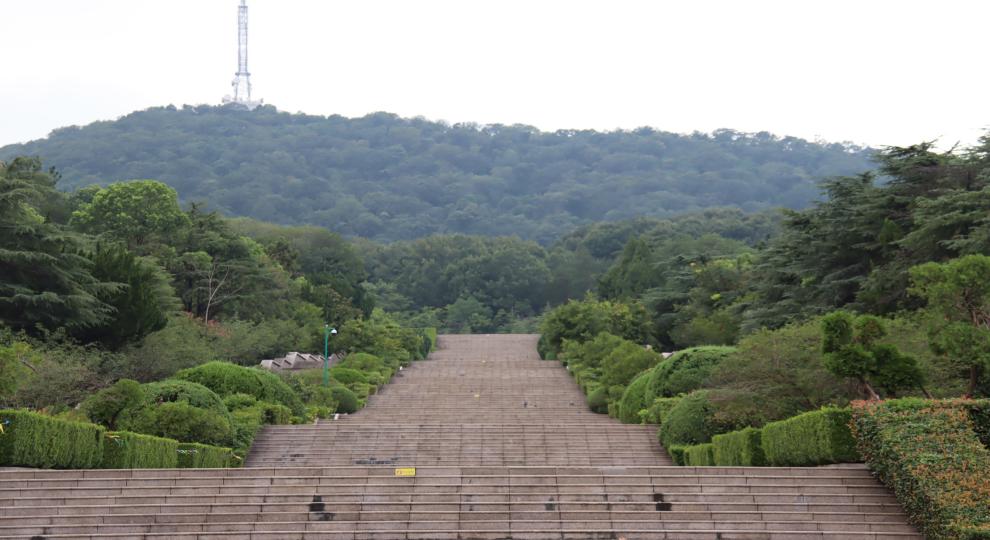 ����纣ο�һ꣬��ɽ��־���������|���֘I(y��)��W(xu��)�ķ��W(xu��)Ժ�����г��Č��tСꠡ��_չ���ڡ������l(xi��ng)�������(sh��)�`���