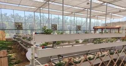 ��ؔ�W������������`�����ഺ���`̽���r·���Ƽ��x���L���d�D