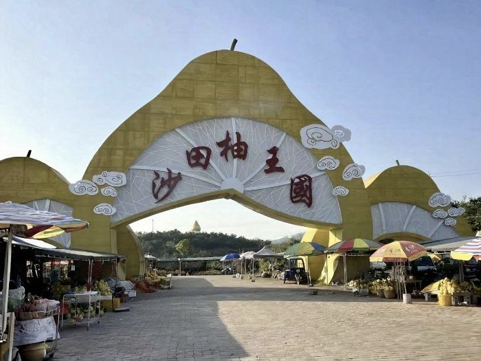 �Ͼ�ؔ����W�����rƷ�������F������{�ЏV���������r�I������