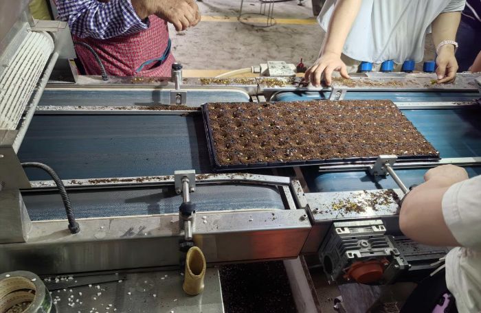 ɽ�|�W�������l����a����ȫ������̽���F���r�IԴ�^�Ƽ�