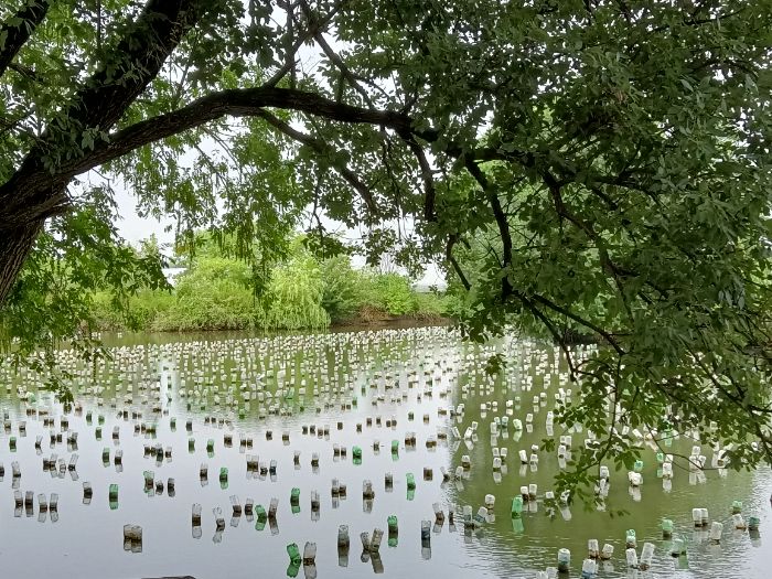 ���f���l(xi��ng)朡� �����{(di��o)�У���ɫ�a(ch��n)�I(y��)�L�ͽ����l(xi��ng)�����d�D��​