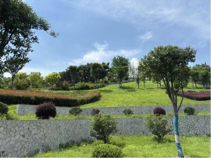 �����WԺ��̽�����B�ޏ��c�Ļ�����֮·