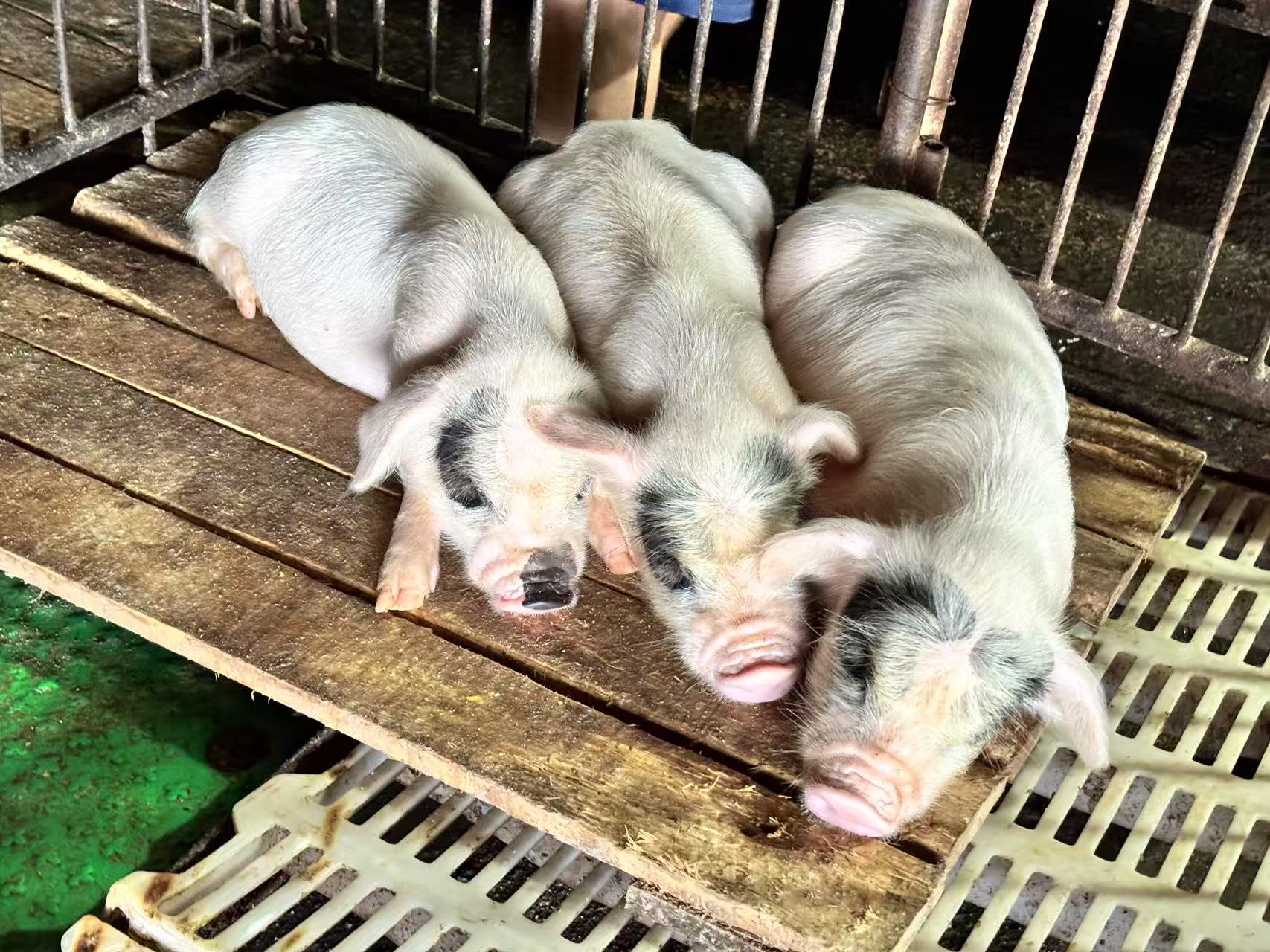 ��ζ�s���i���ؑc���ĿƼ��WԺ̽�L�d���N�i���ķ��z�����c�a�I�ܴa