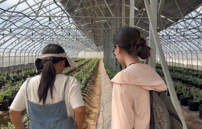 �����r��̽�أ��F���r�I(y��)��������������