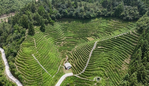 �����M��ɽ�����в�퍡��������Ϲ��̴�W������h��M��@���^�{��