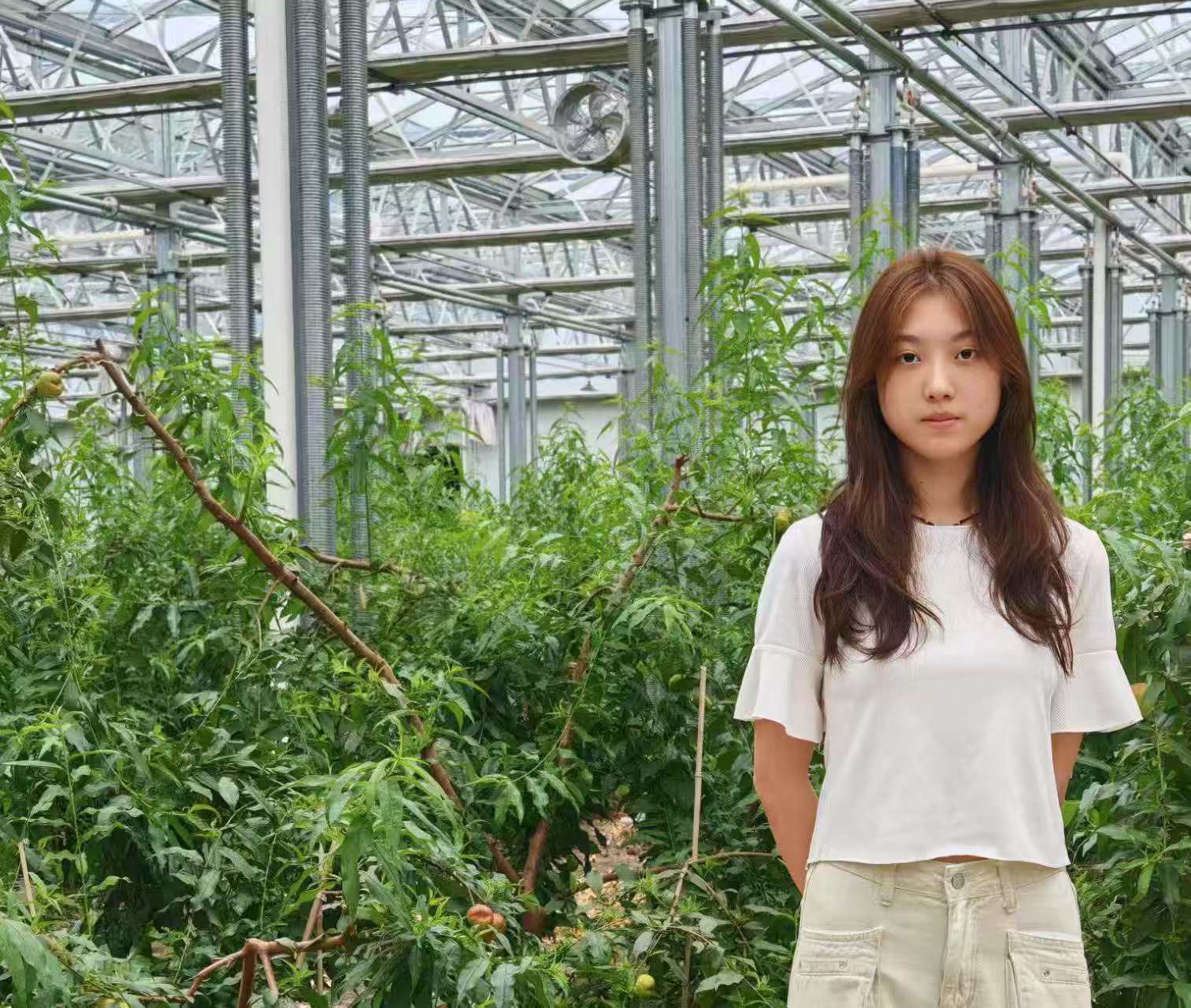 �Ͼ�ؔ����W������̽�أ��۾��r��