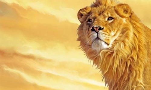 �x���{�ӵ����_���и�