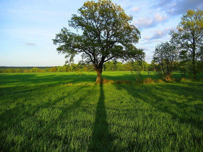 ���@���Ї��ġ��䡯�������L��