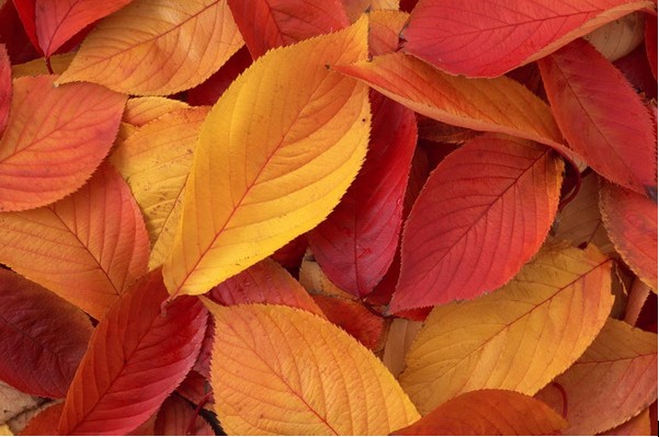 ���~������