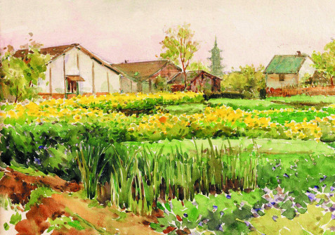 ���ڵ���Đ�