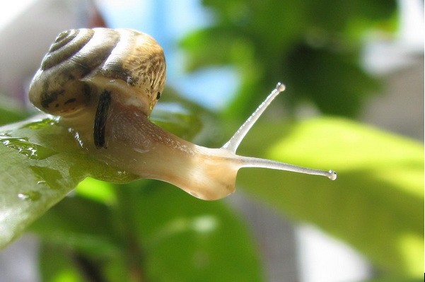 ΁ţ�c����