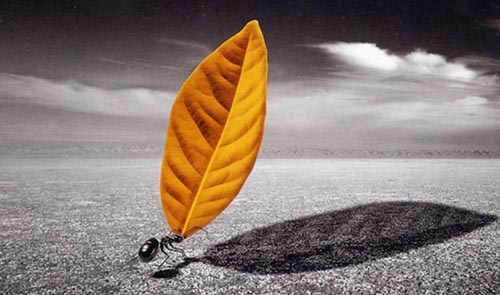 �Ұl(f��)�F(xi��n)��Λρ������