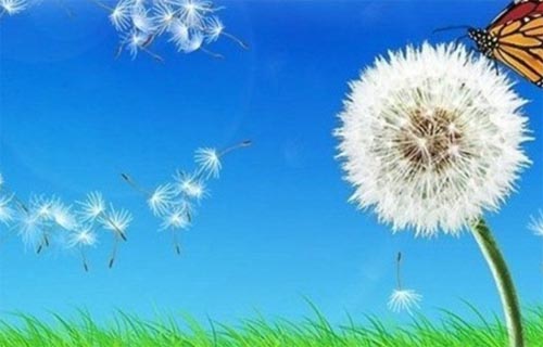 ƽ�o��Ц��