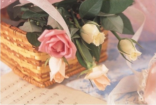 �l�fŮ�Ӳ�����