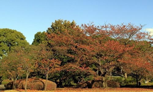 ����Ę��~