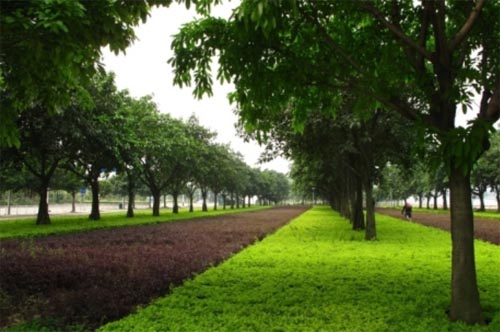 ������������ӛ