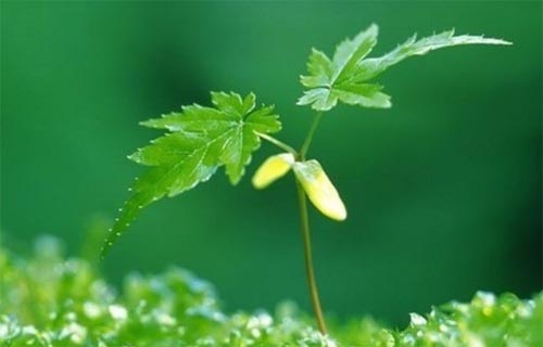 ����_��������