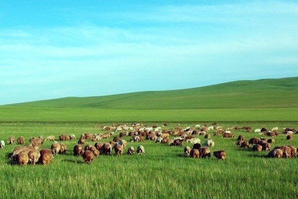 �����w��ԭ��ӛ